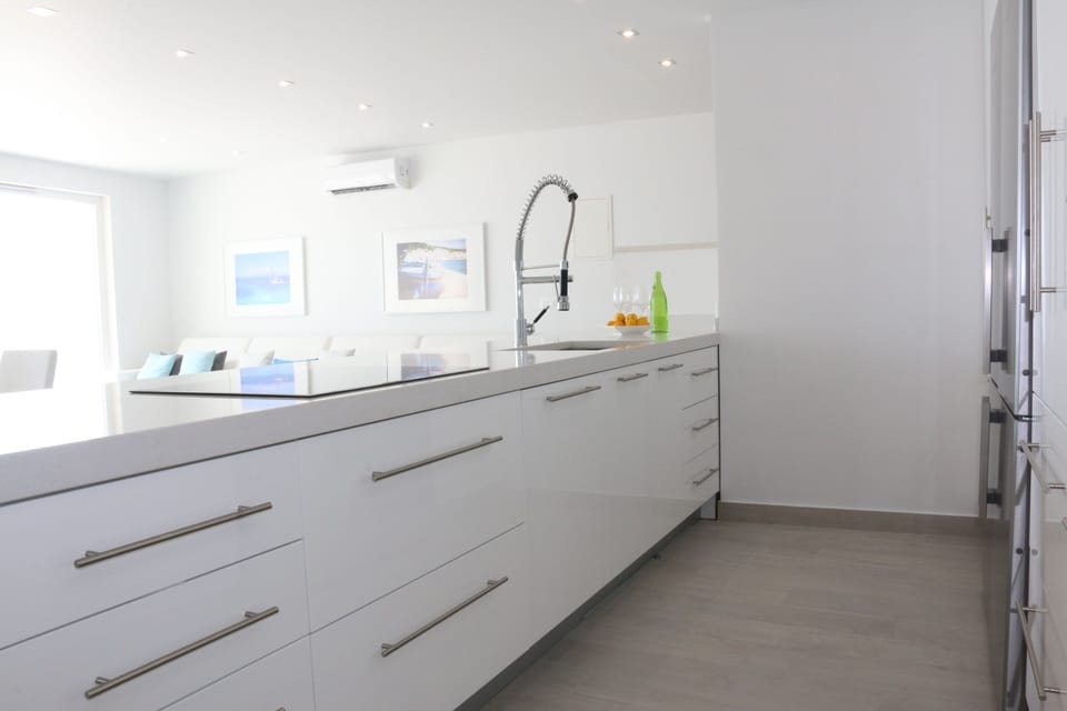 Chef's dream gorgeous kitchen! Quartz countertop and all high end appliances.
