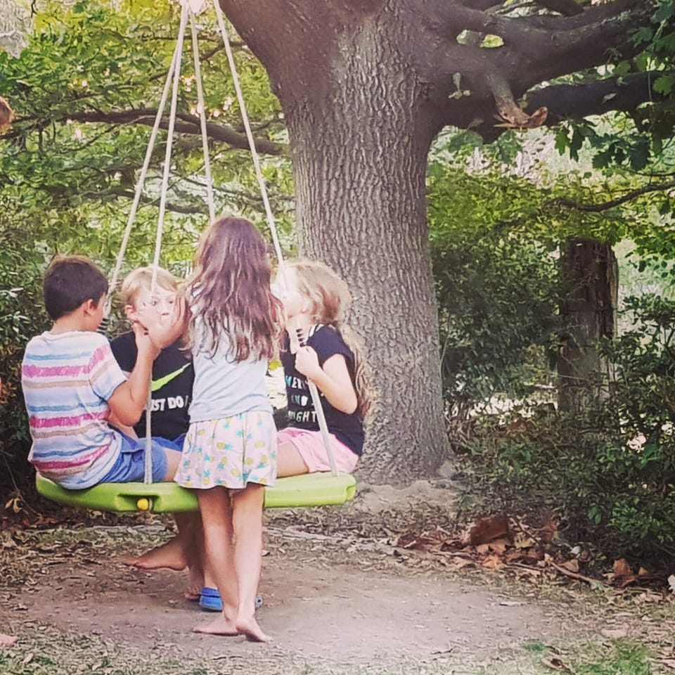 Best tree Swing on the old Oak Tree
