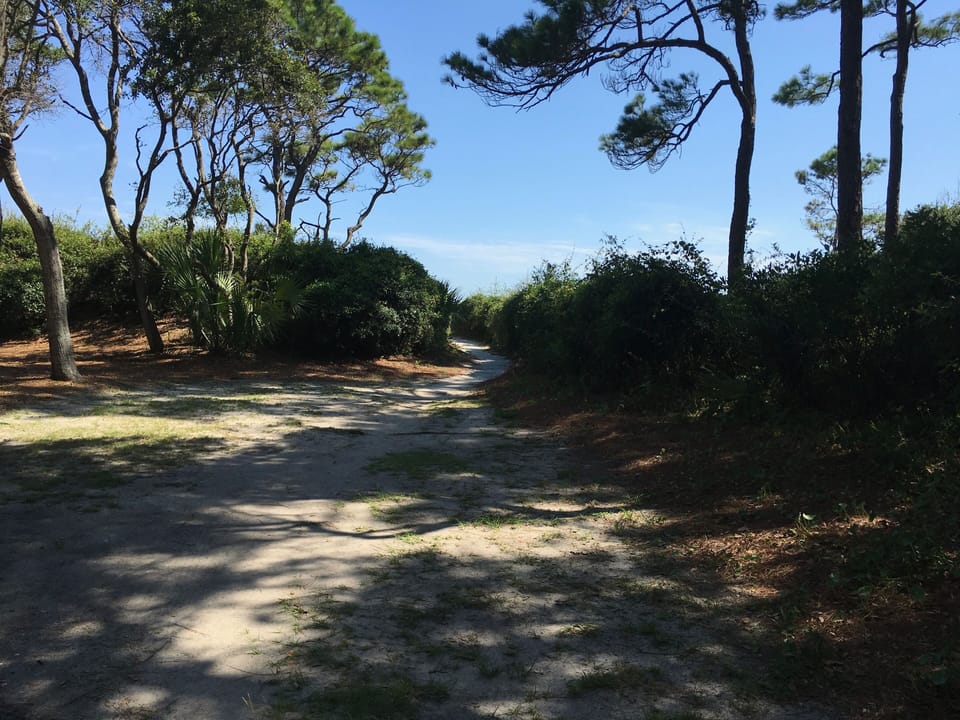 Beach Path