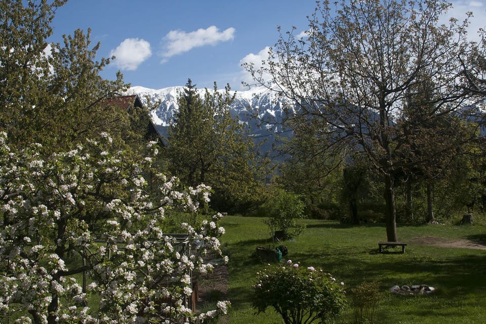 Spring view on nearby mountains
