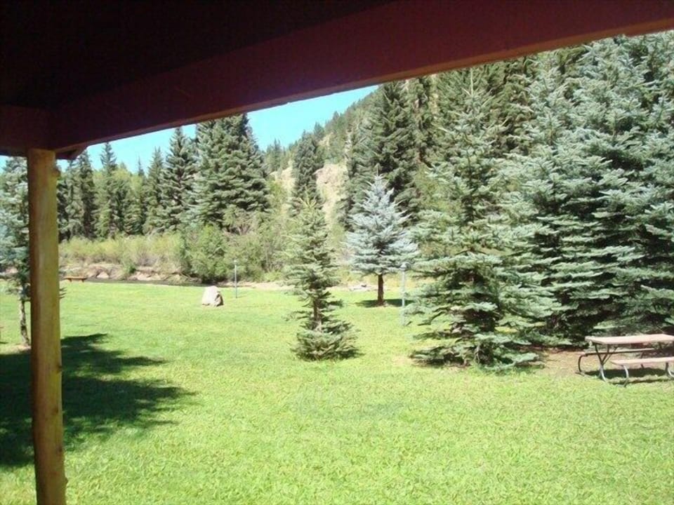 View From Deck