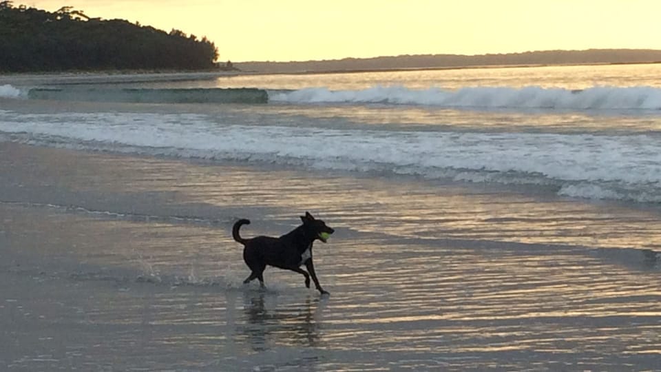 Callala beach at sunrise-Pet friendly