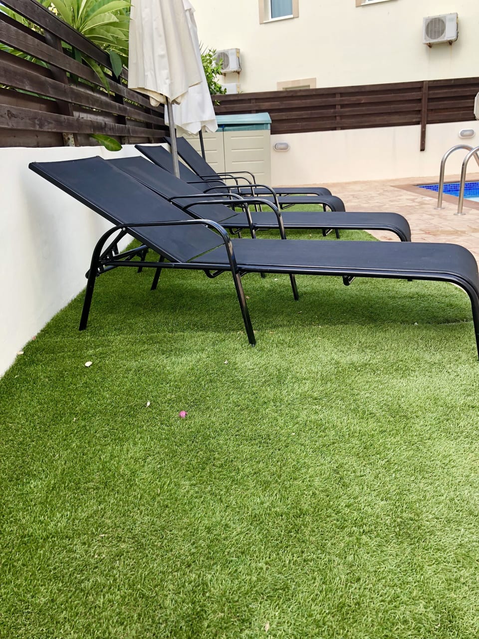 Loungers
