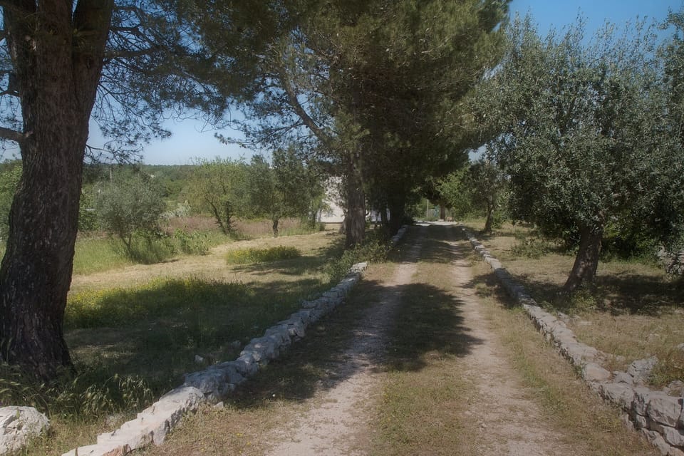 Set back from the quiet country lane