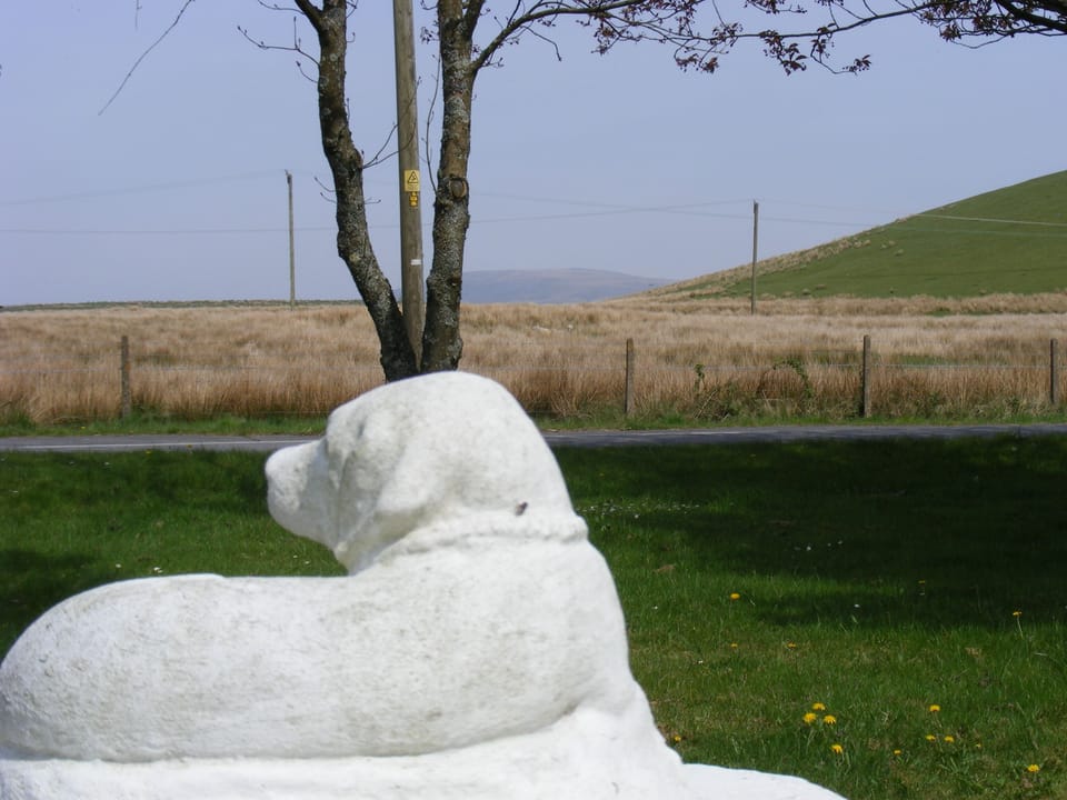 front gate overlooking common with Brecon Beacons as backdrop.