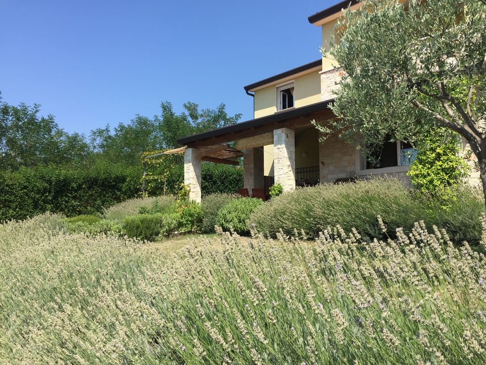 House in July 2015