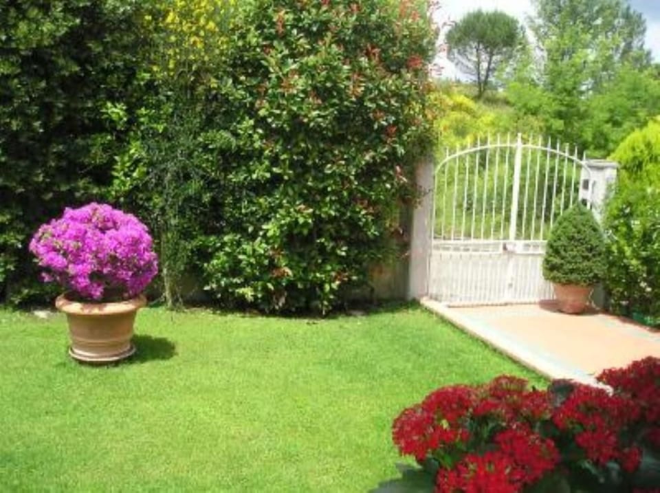 Garden, Park