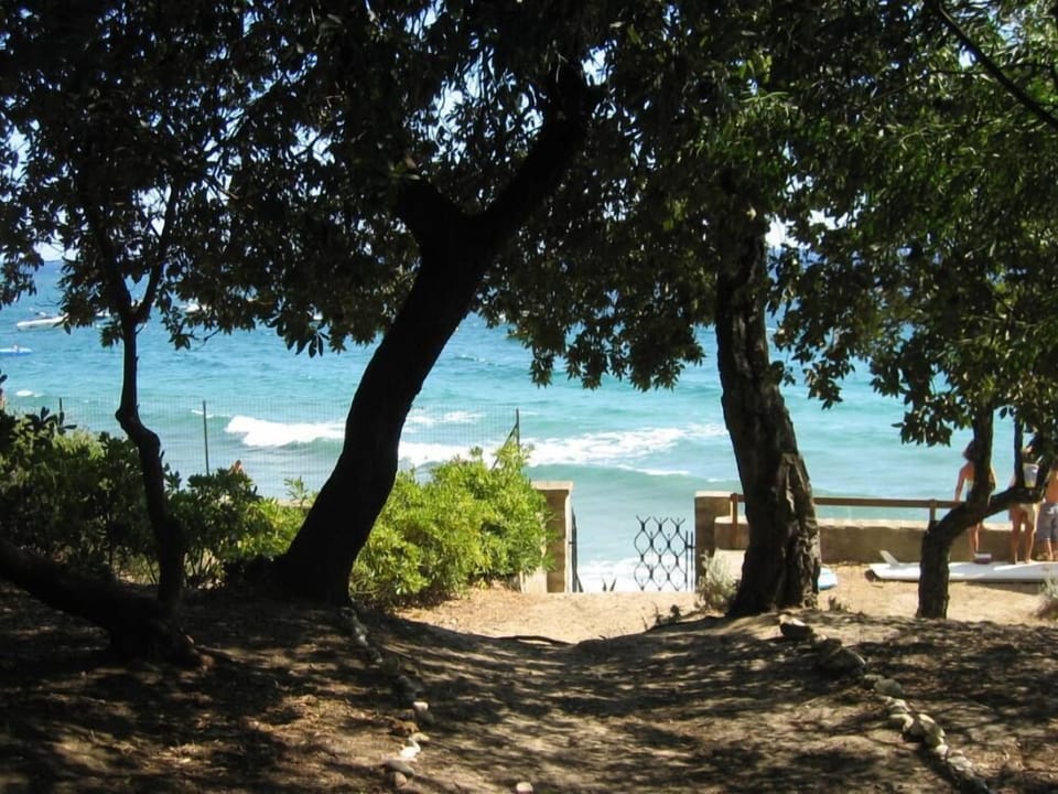 Garden, Park