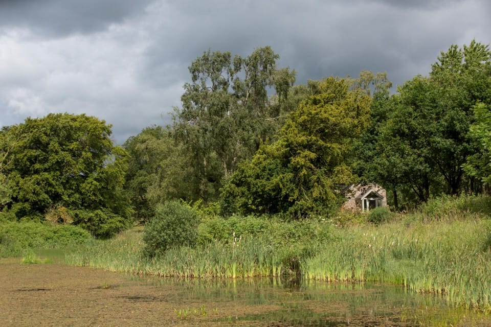 The private lake, included, enjoy a stroll around or study the wildlife.