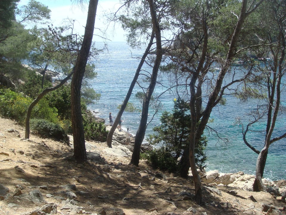 The magnificent cove of Alon Port (4 km away) is preserved.