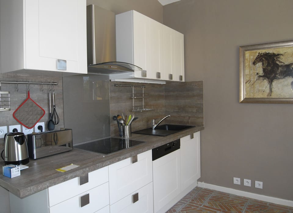 The equipped kitchen with a dishwasher.