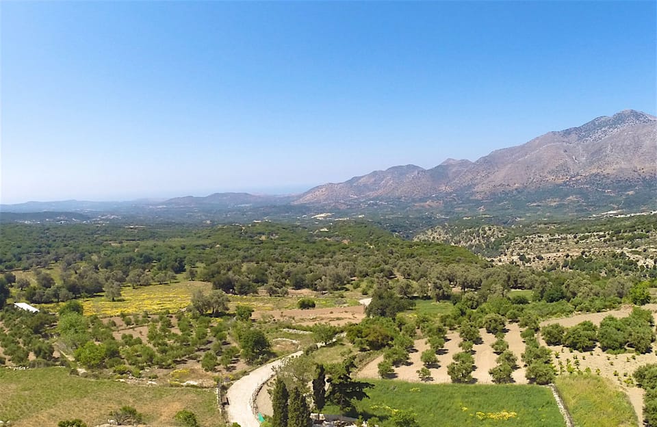 Explore our array of Curated Experiences, only here with ThinkVilla.