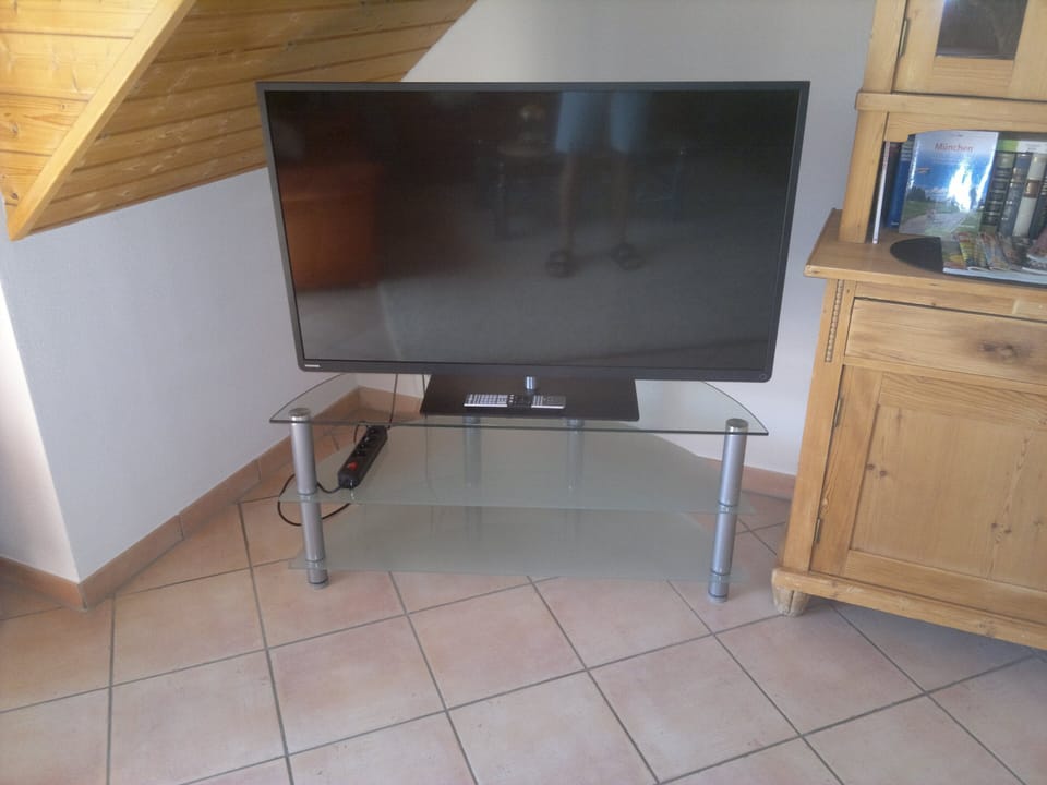 Television
