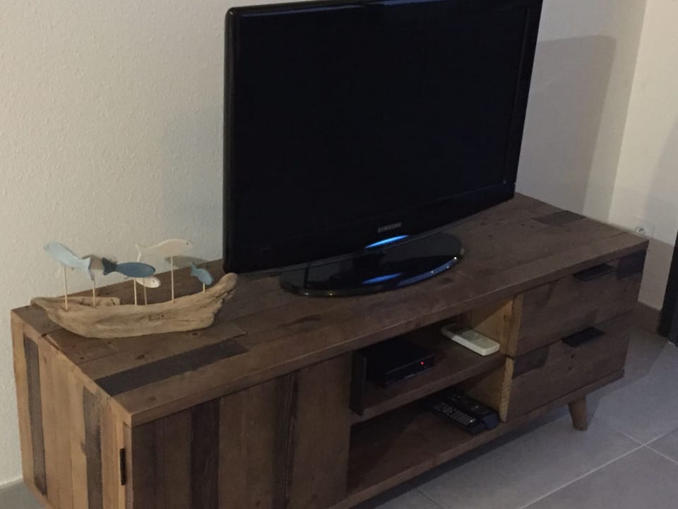 Television