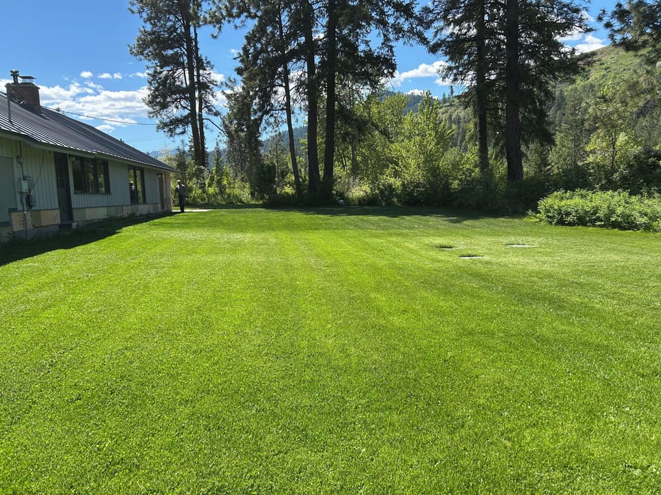 Back yard 