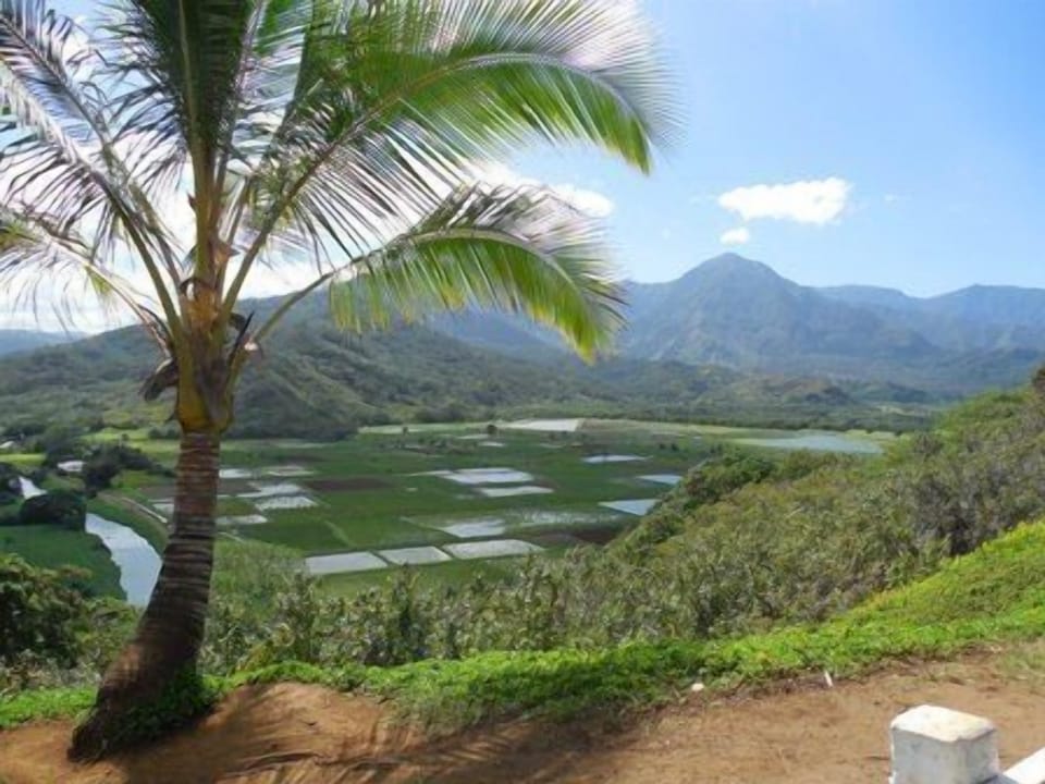 Beautiful North Shore views. 