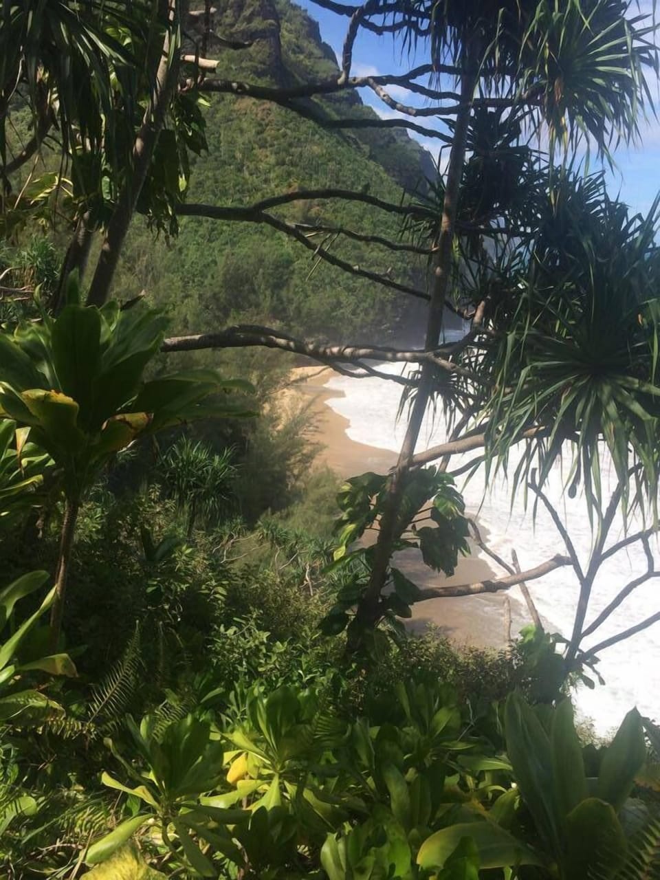 Hike the famous Na'Pali Coast to secret beaches. 