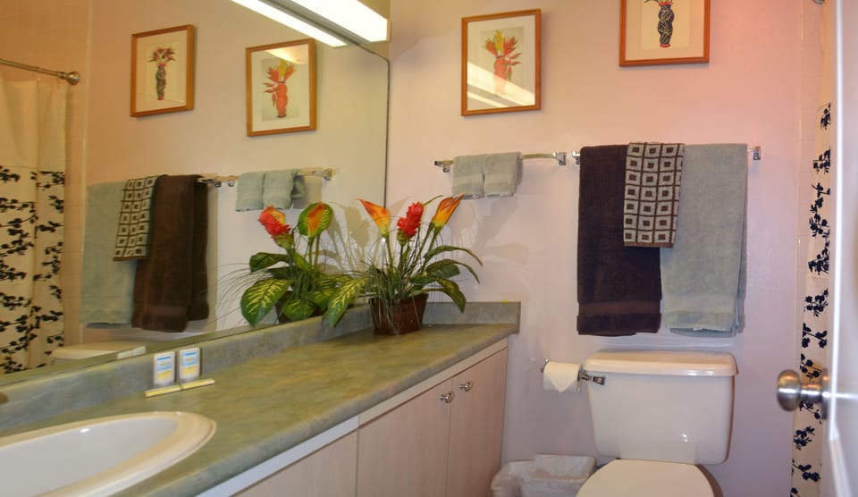 The full bathroom in the master bedroom