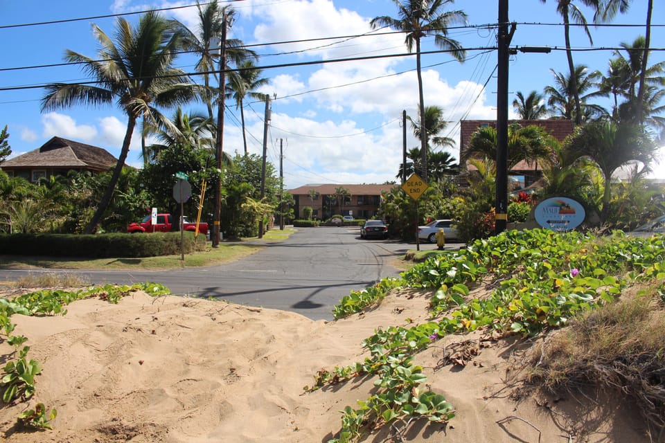 The view of the condo from the beach sand