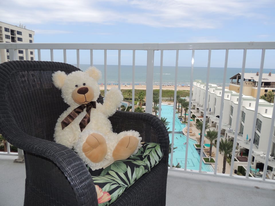 The VRBO Bear stayed here too!  He thinks we are BEARY special and reviewed us!