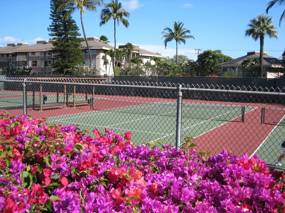 4 tennis courts newly redone
