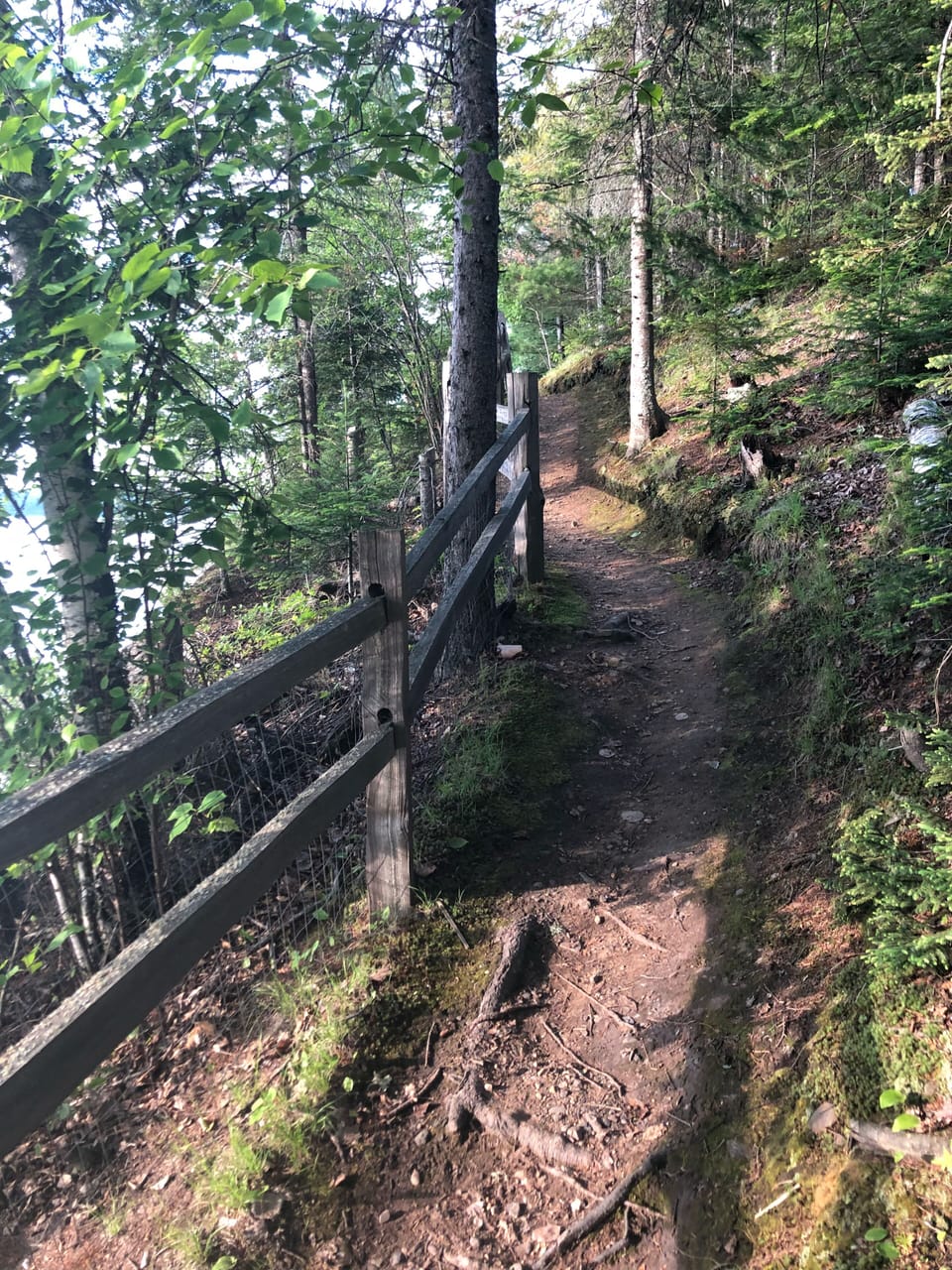 Easy trail to the dock, also a short road from driveway is another option 