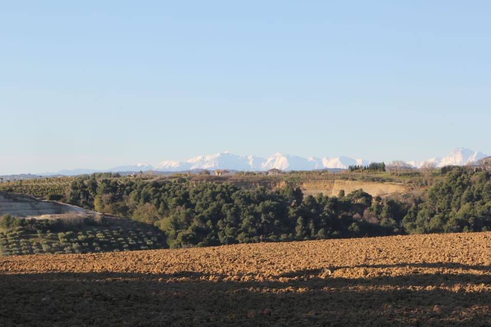 Mondomini - Charming cottage with view on the sea Cottage in Marche