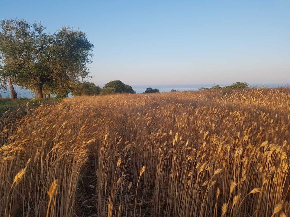 Mondomini - Charming cottage with view on the sea Cottage in Marche
