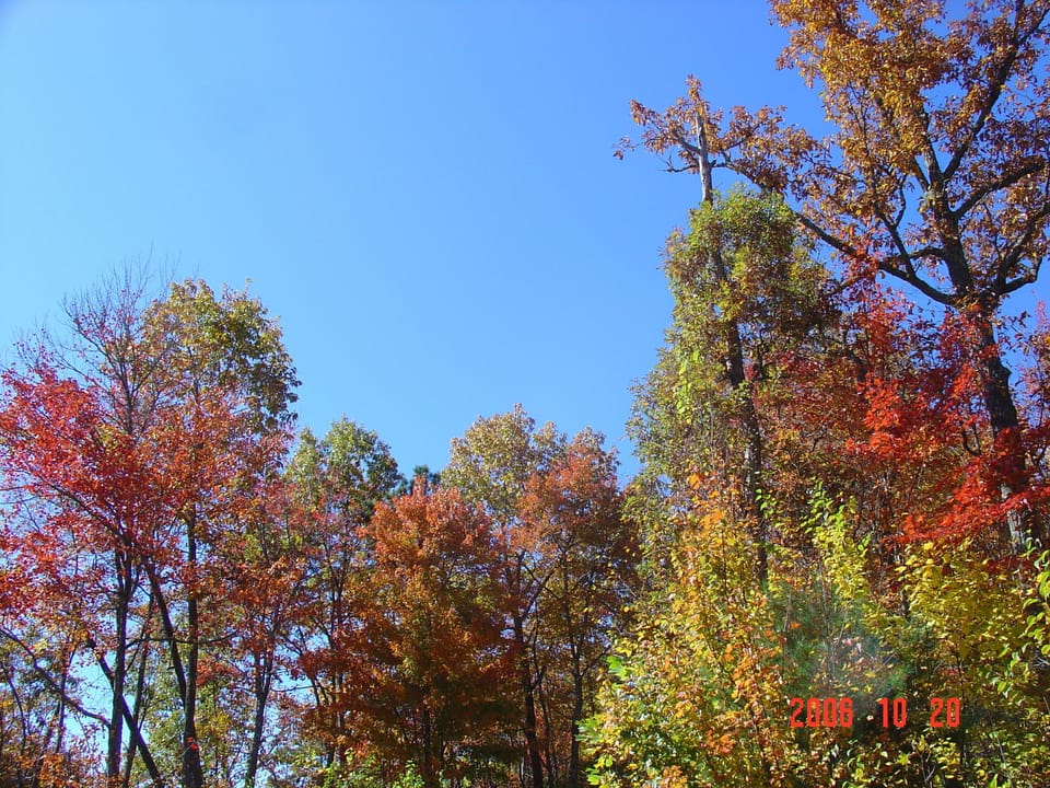 Start of Fall foliage at cabin