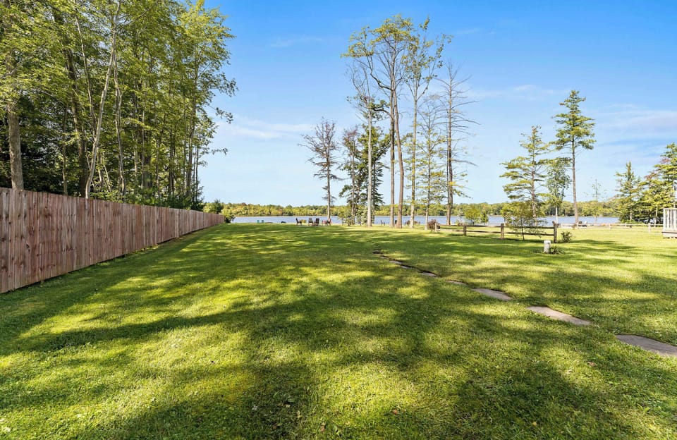 Our large backyard