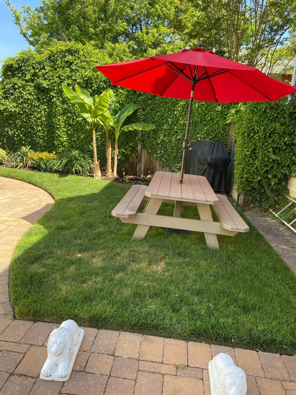 Side yard 