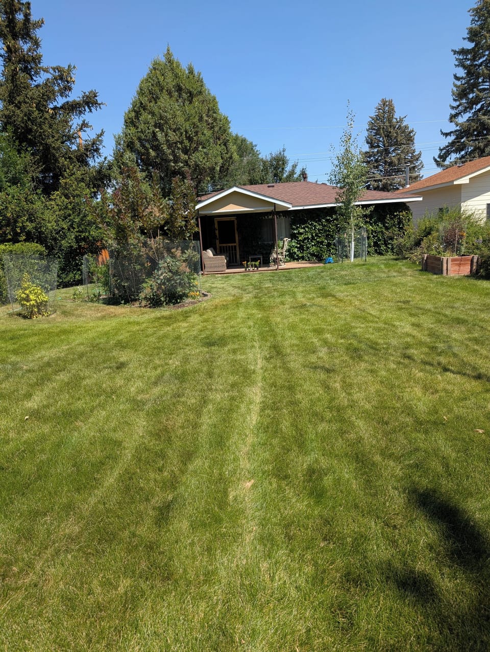 Deep front yard...good for ball throwing.  not fenced.