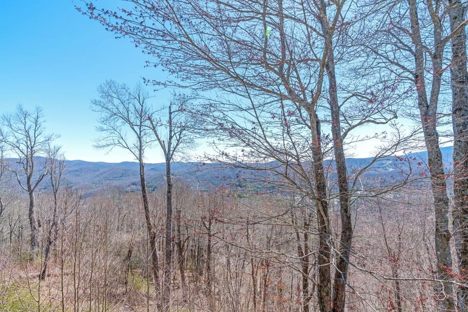 Winter Mountain View