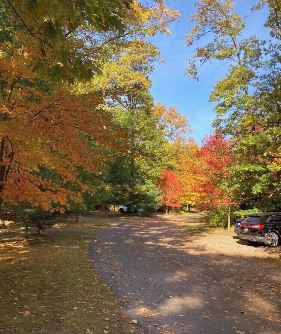 Tree-lined Hidden Dunes