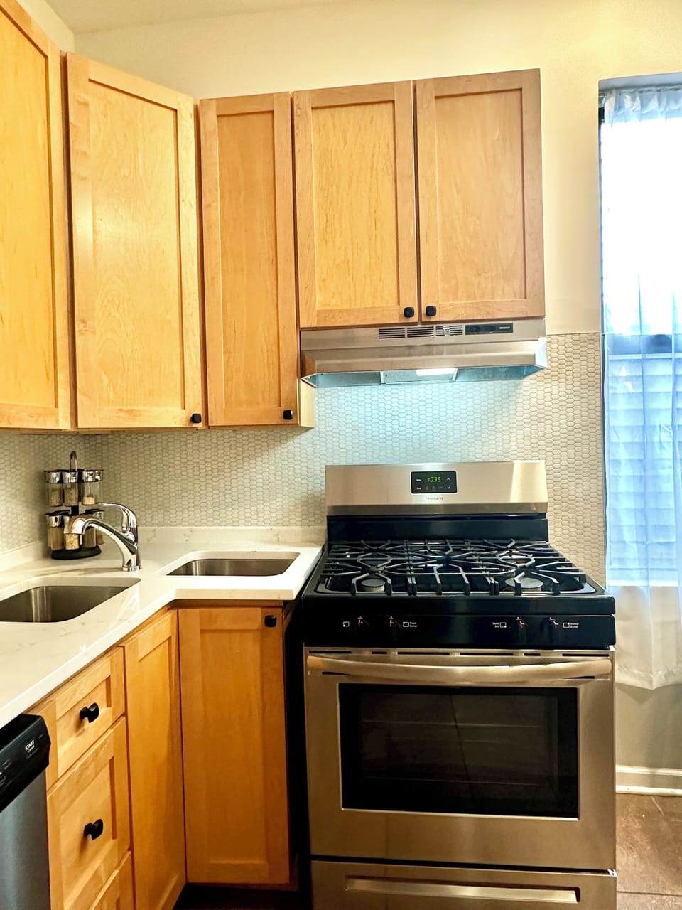 Stainless gas oven and range