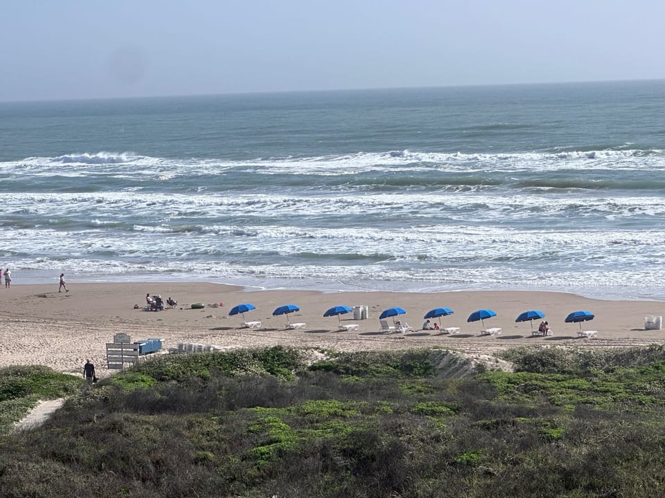 View of umbrellas and lounge chairs set up for day use by 3rd party.  (Seasonal)