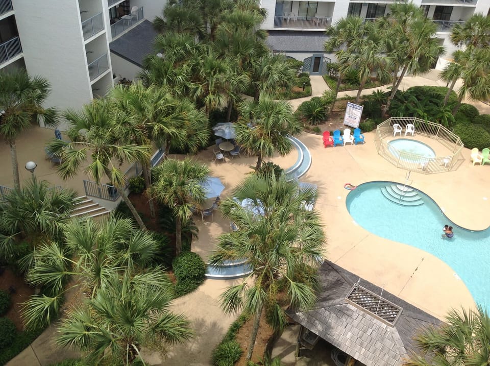 Tropical love at the pool...