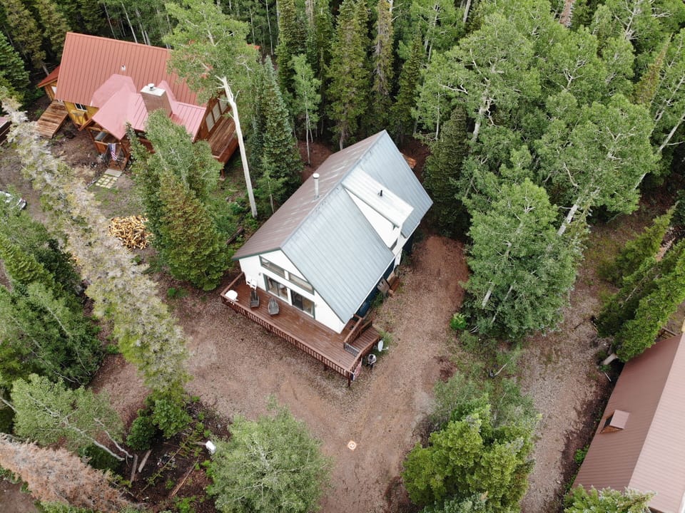 The cabin surrounded by beautiful trees 