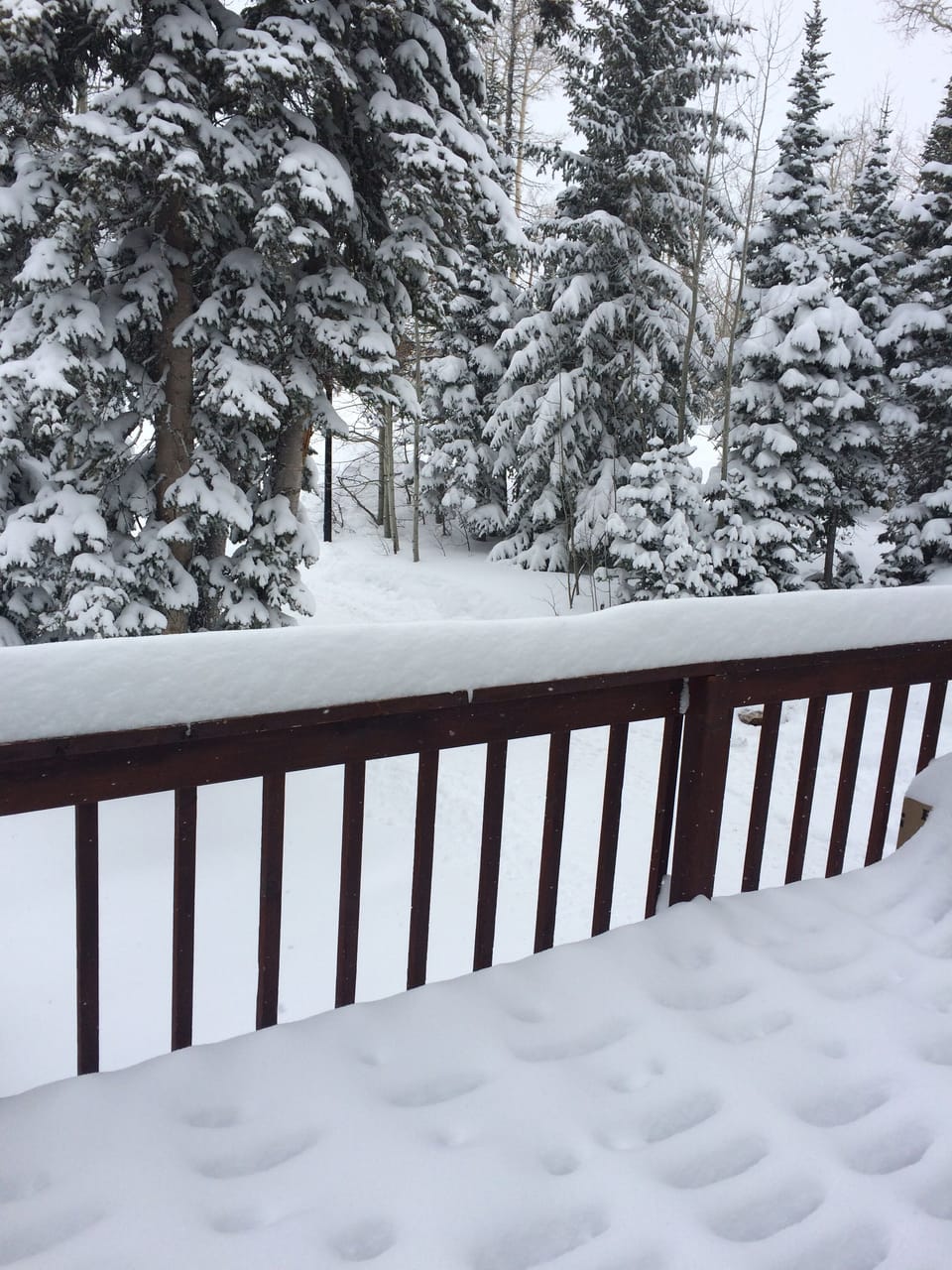 View from the deck 