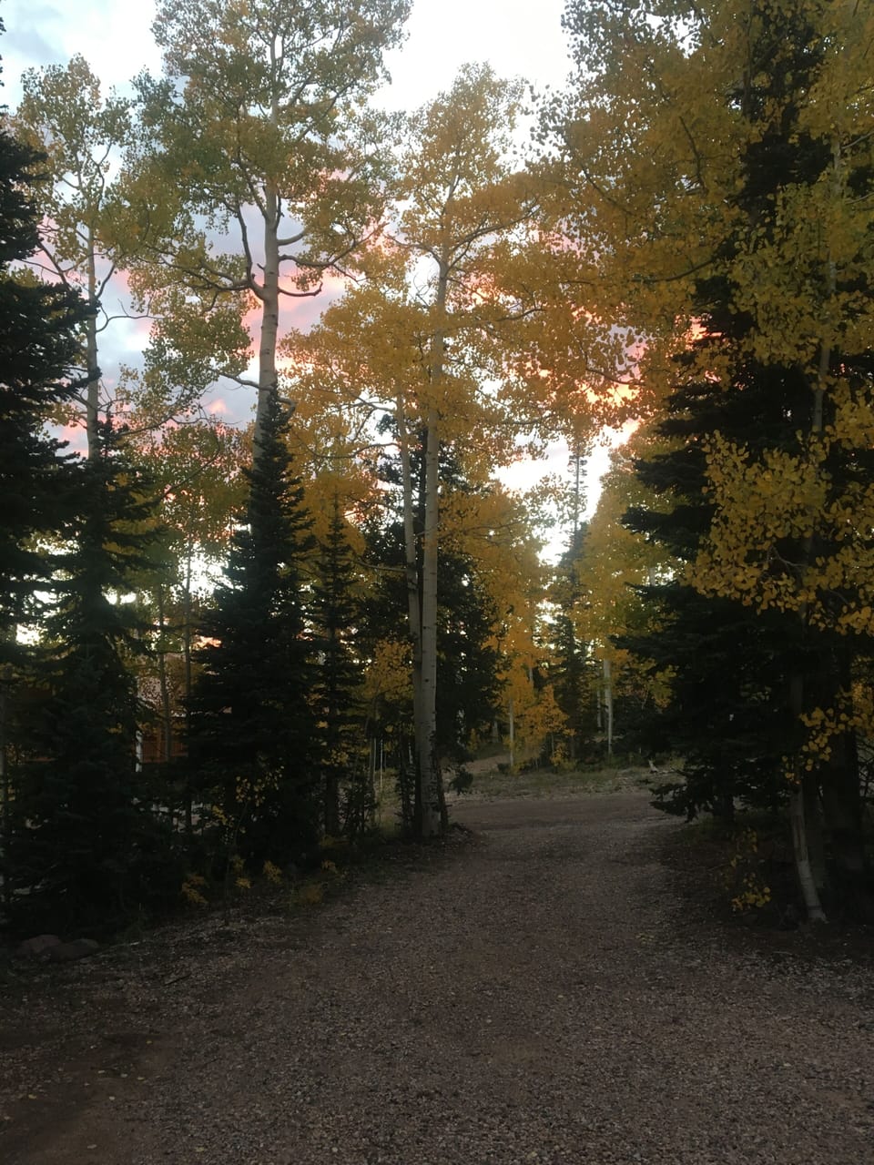 View from the driveway