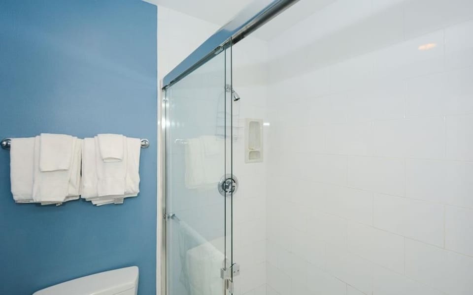 Spacious walk-in shower