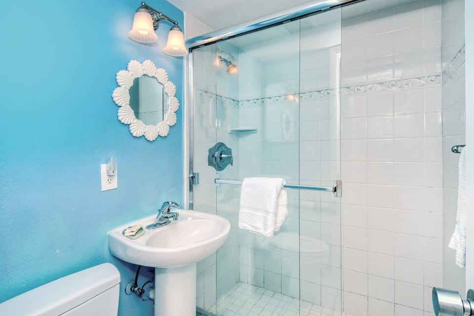 Walk in shower in guest bathroom