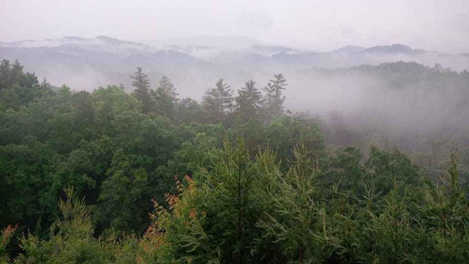Rear 2nd floor deck views when Smoky!