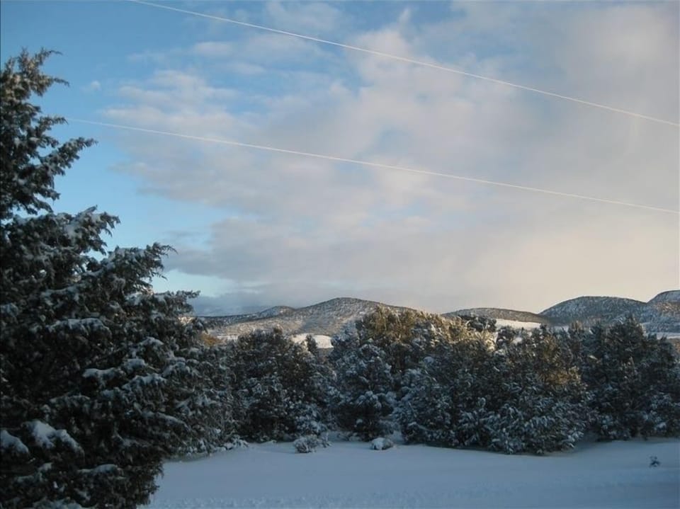 Winter View from Front of the House