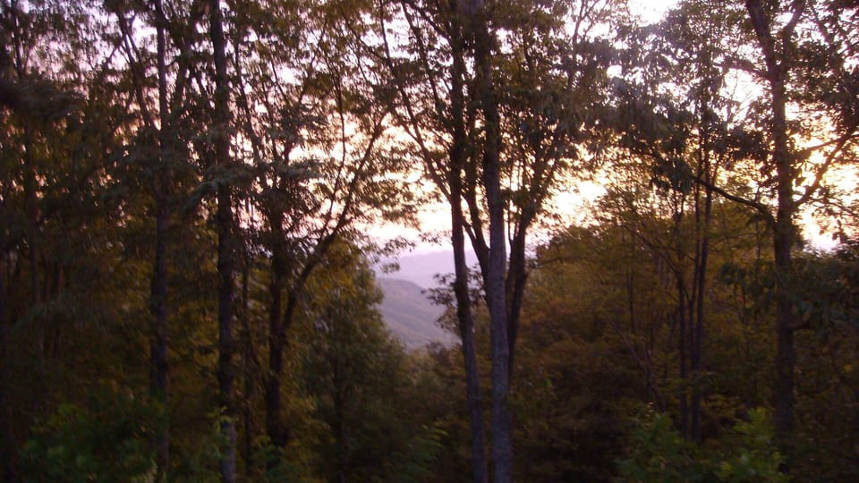 View of Nature Preserve from back of lodge - serene setting for hot tub
