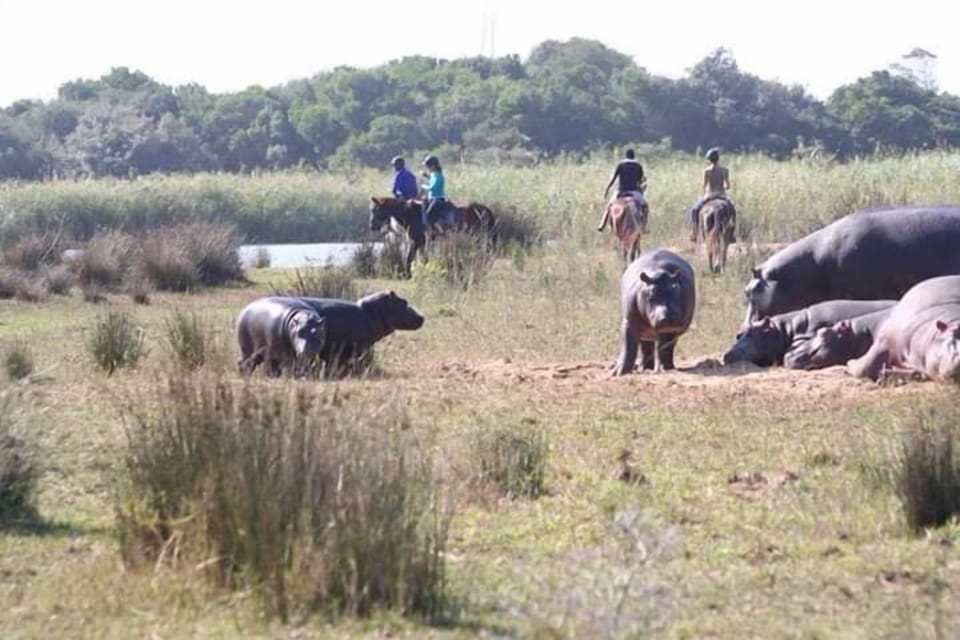 Horseback riding