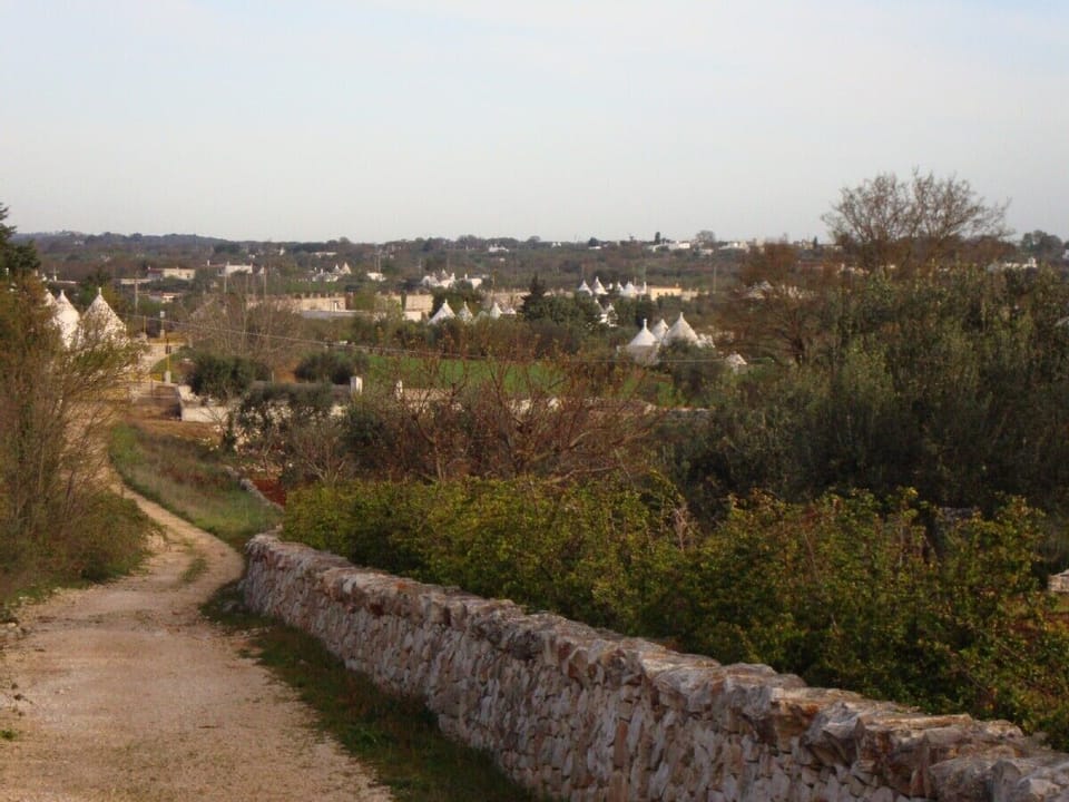 Countryside with easy access to walking & cycling trail