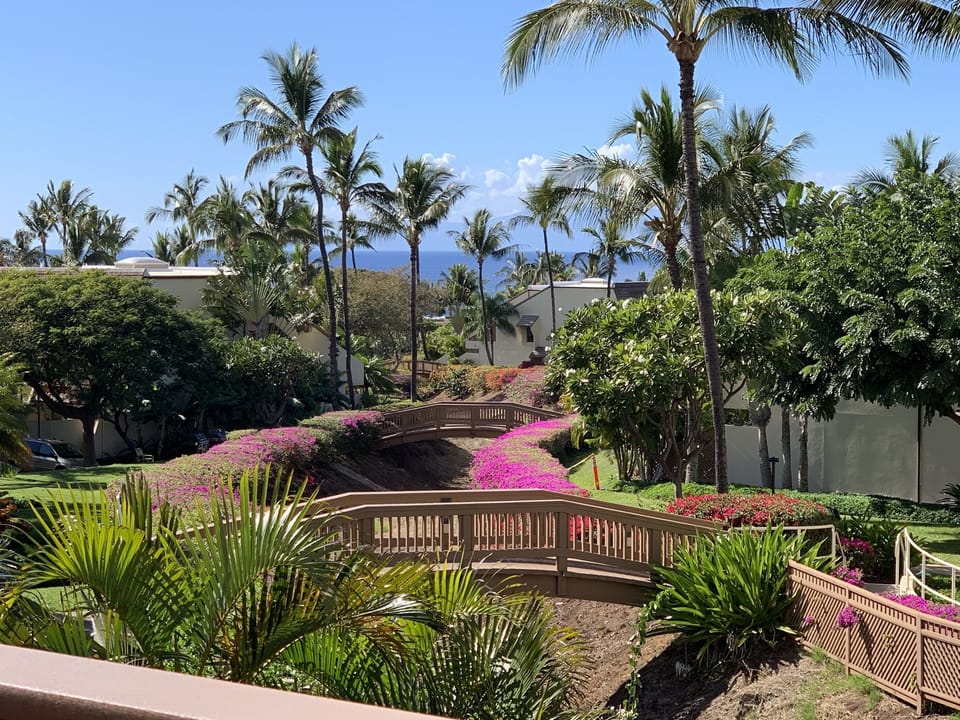 Lanai view