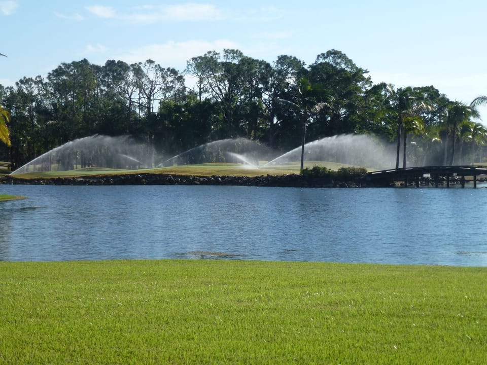 Flamingo Golf