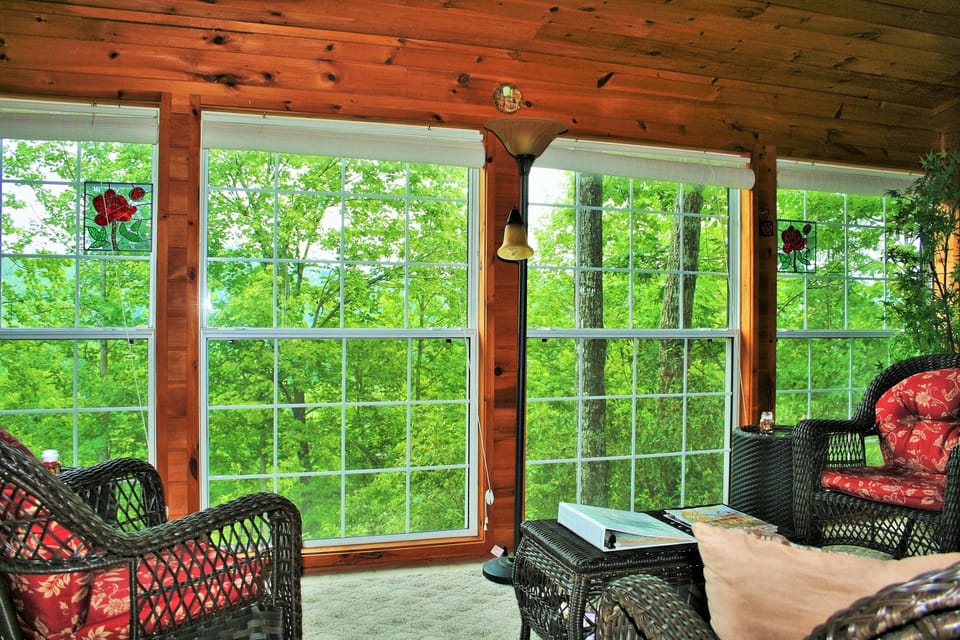 Beautiful View from Sunroom in Summer